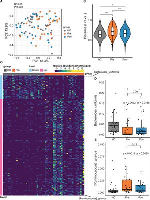 Gut microbiome and metabolome to discover pathogenic bacteria and probiotics in ankylosing spondylitis